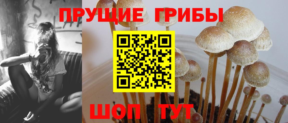 Псилоцибиновые грибы прущие грибы Джанкой